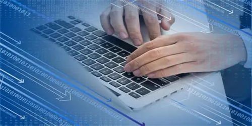 信息技术服务逆势领涨，新IT持续引领数字化破局