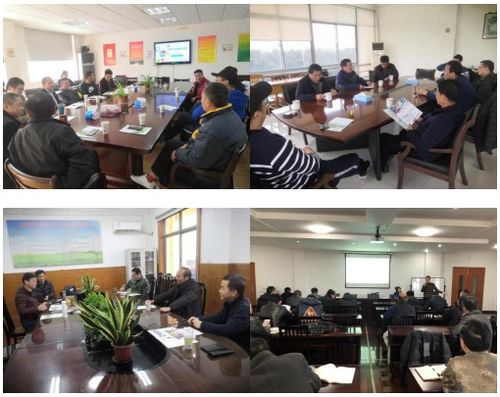 科技服务下基层，精准助力稳产保供——记上海市农科院佳牧公司“科细佳”技术服务活动