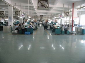 深圳技术服务 创新引擎，驱动城市高质量发展