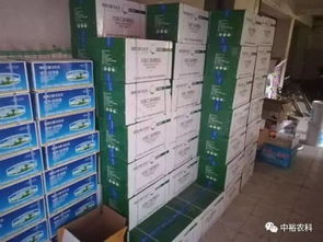 白生生棉花脱叶剂沙湾金沟河镇总经销 专业产品技术咨询服务